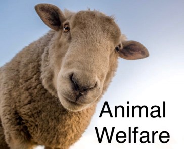 How to launch a SUSTAINABLE clothing line?