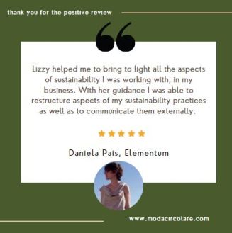 sustainable fashion consultant