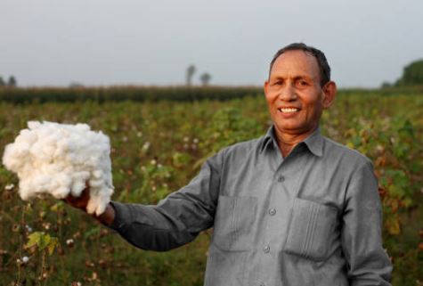 the cotton industry and sustainability