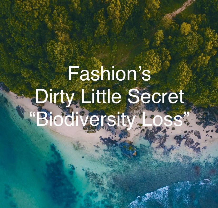 Fashion and biodiversity loss