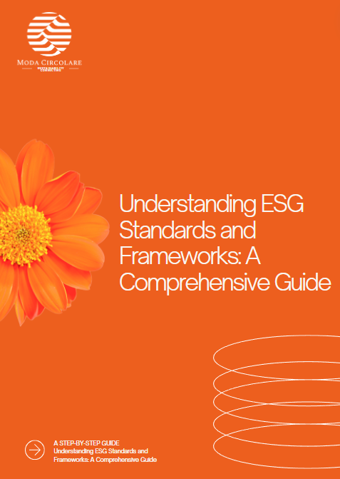 ESG Standards and Frameworks E-book